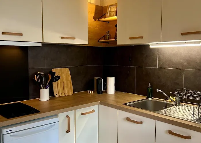 Ile Verte, Calme, Terrasse Et Parking Prive 아파트 그르노블